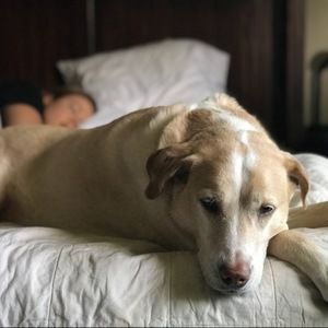 Meet your Posher, Caitlin